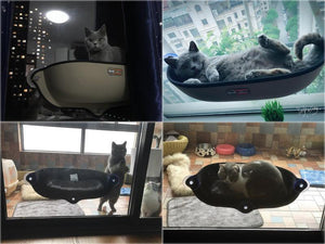 Cat Window Bed